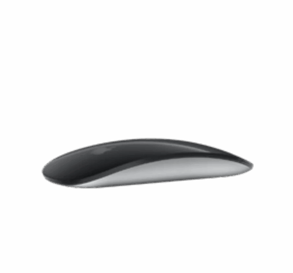 Vous pouvez louer une souris